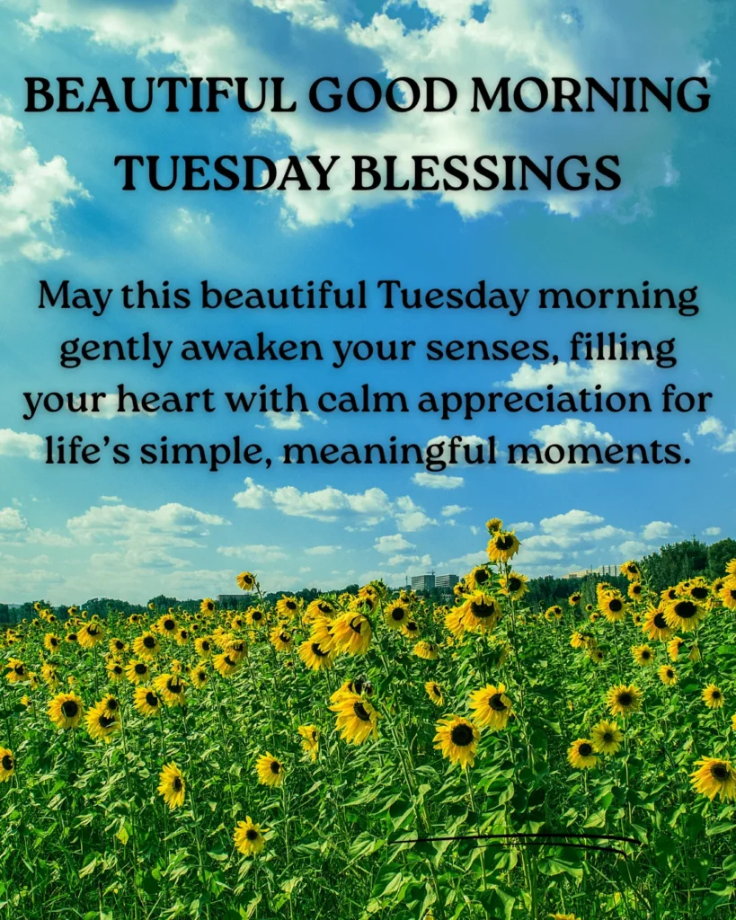 Beautiful Good Morning Tuesday Blessings