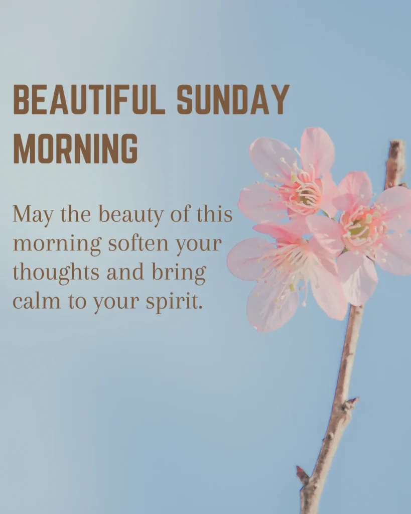Beautiful Sunday Morning