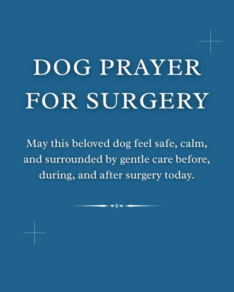 Dog Prayer For surgery