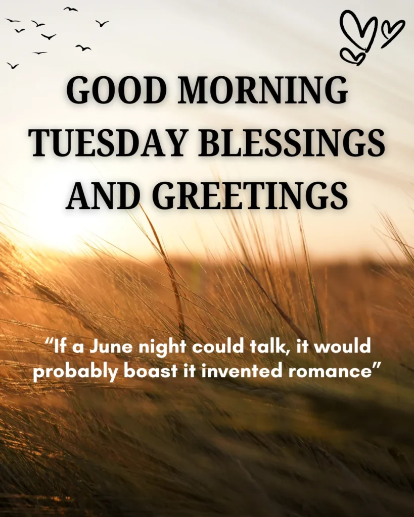 Good Morning Tuesday Blessings And Greetings